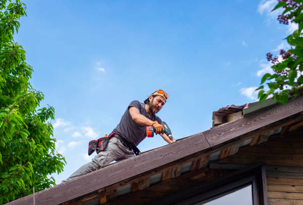 Best Storm Damage Roof Repair  in USA